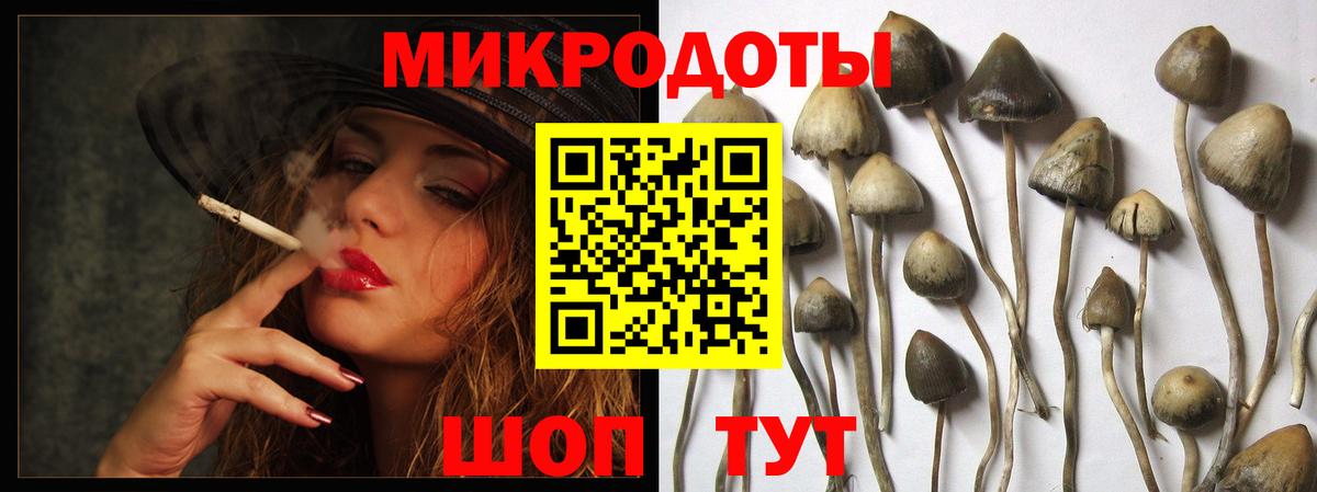 Воронеж  Галлюциногенные грибы мицелий  Вход с VPN 
